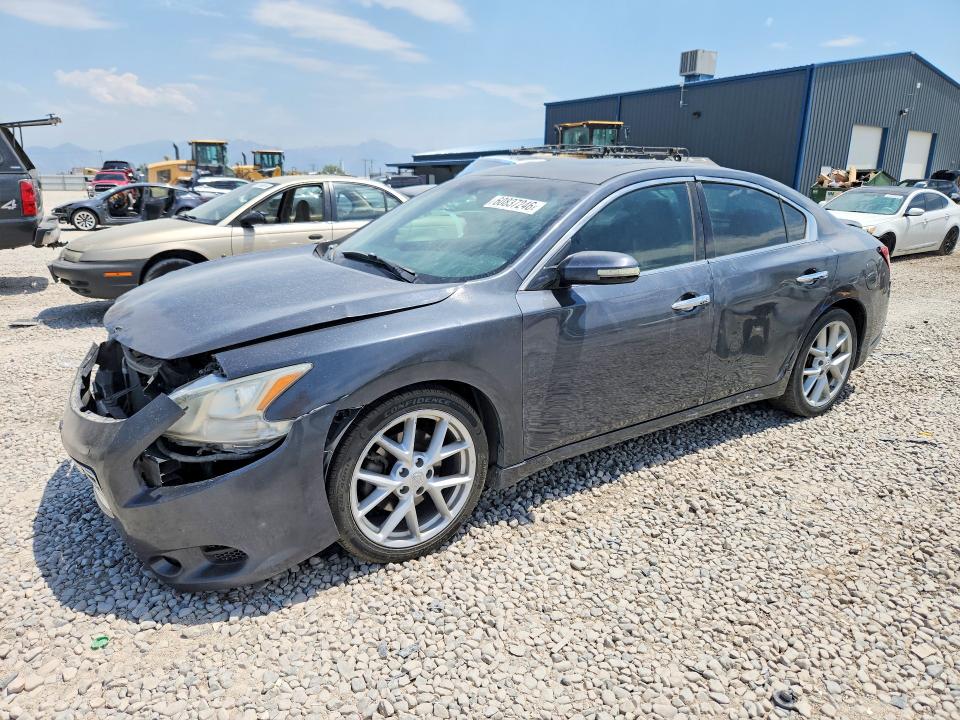 NISSAN MAXIMA 2009 with VIN 1N4AA51E89C829117 - Photo from auction