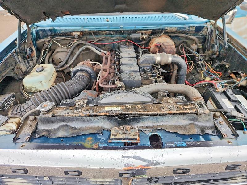 Photo 11 from auction – 1986 DODGE D-SERIES with VIN 1B7FD04HXGS064088