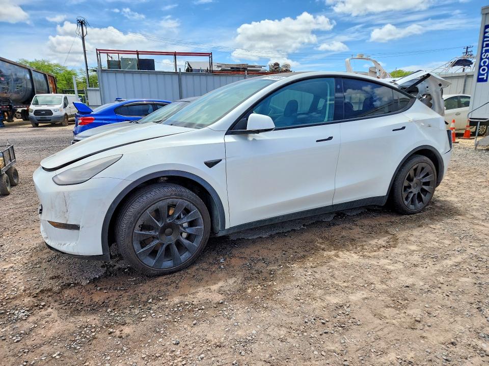 2021 TESLA MODEL Y - Търг №61015556