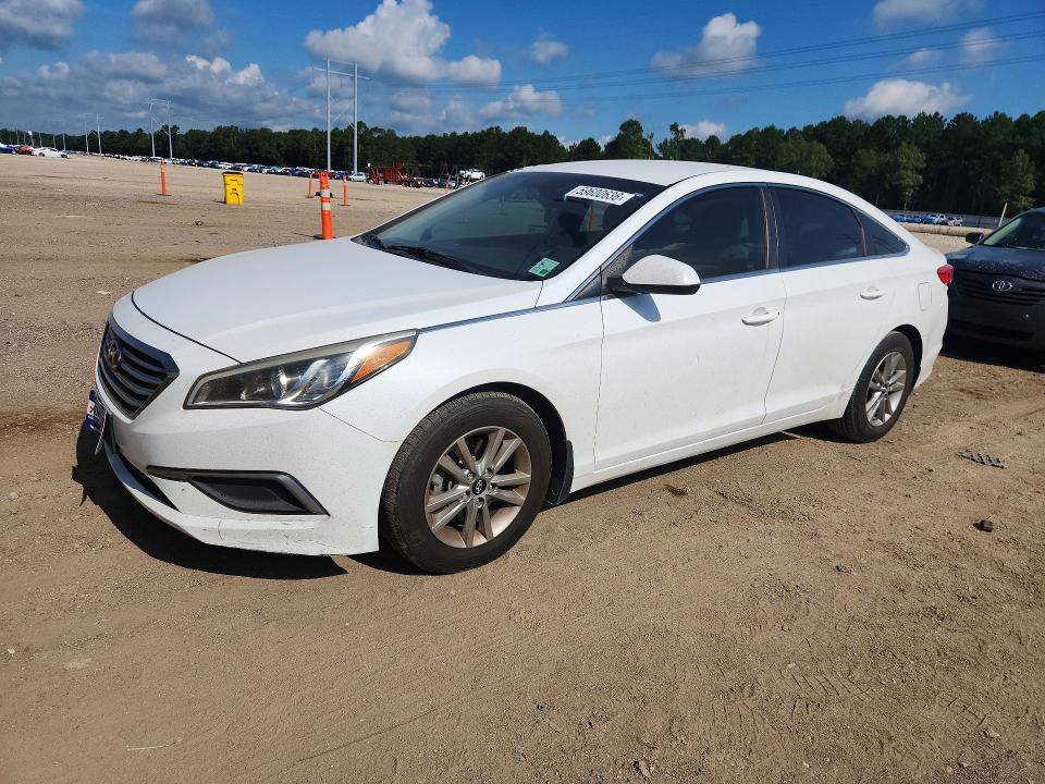 HYUNDAI SONATA 2016 with VIN 5NPE24AF2GH312652 - Photo from auction
