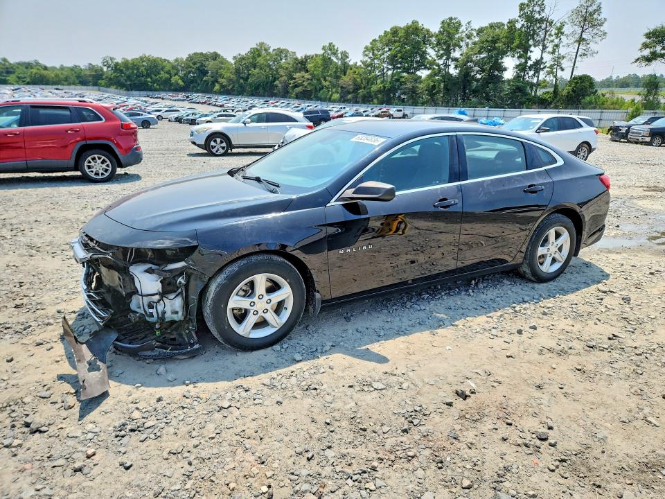 CHEVROLET MALIBU 2019 with VIN 1G1ZB5ST0KF222679 - Photo from auction