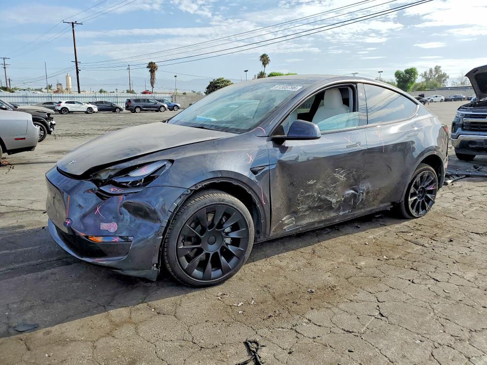 TESLA MODEL Y 2024 with VIN 7SAYGDEE0RF064244 - Photo from auction