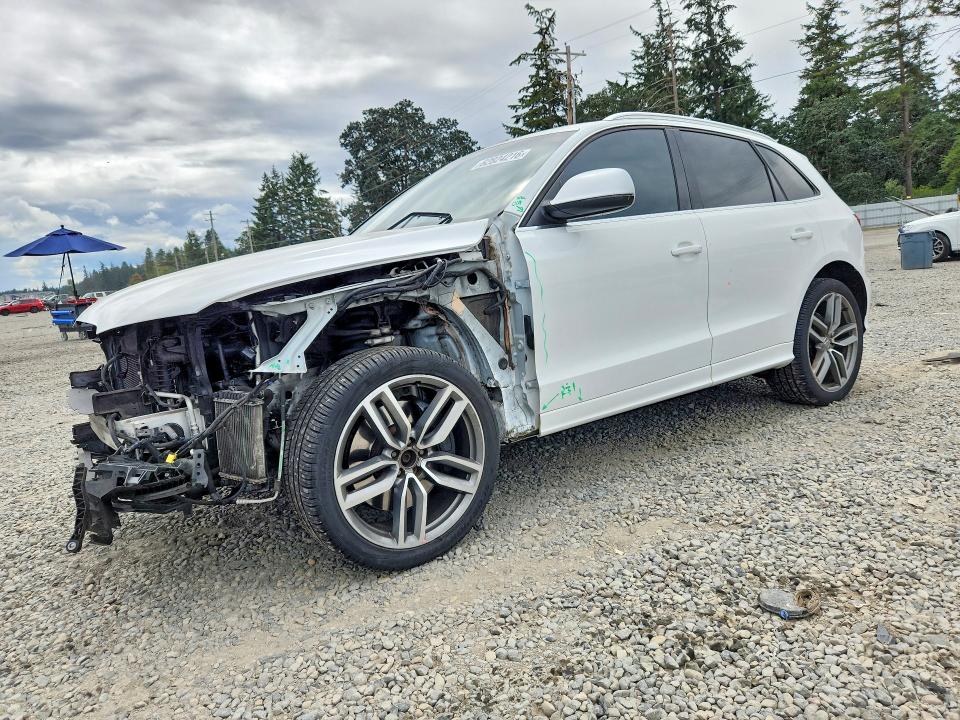 AUDI SQ5 2014 with VIN WA1VGAFP3EA098724 - Photo from auction