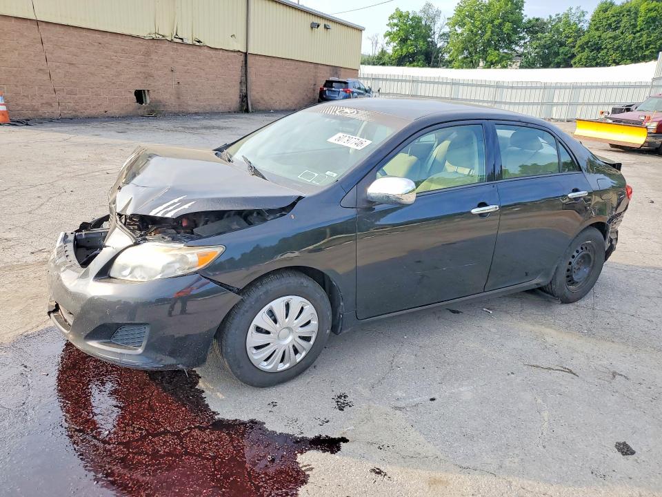 TOYOTA COROLLA 2009 with VIN 2T1BU40E19C046312 - Photo from auction