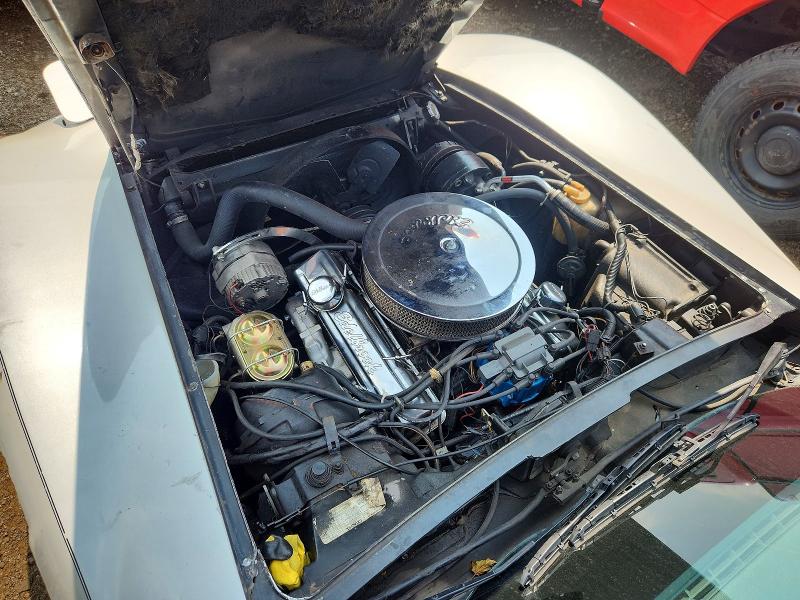 Photo 11 from auction – 1977 CHEVROLET CORVETTE with VIN 1Z37X7S439185