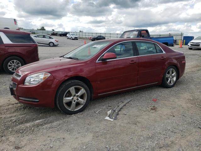 CHEVROLET MALIBU 2LT 2011 with VIN 1G1ZD5E17BF261712 - Photo from auction