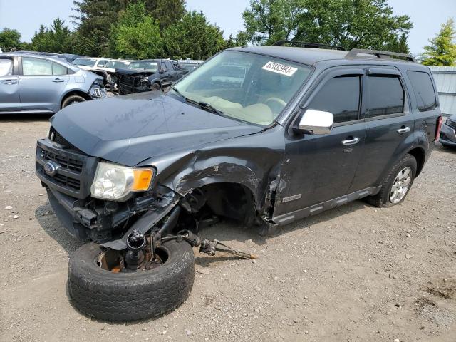 FORD ESCAPE LIM 2008 with VIN 1FMCU04128KC00913 - Photo from auction