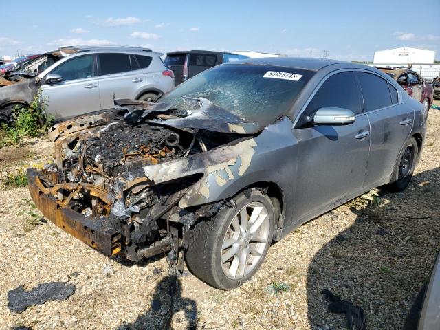 NISSAN MAXIMA S 2009 with VIN 1N4AA51E69C802725 - Photo from auction