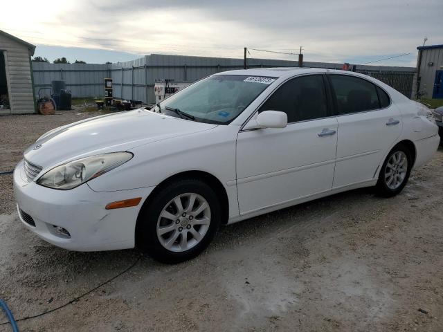 LEXUS ES 300 2002 with VIN JTHBF30G920031349 - Photo from auction