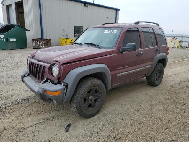 JEEP LIBERTY SP 2002 with VIN 1J4GL48K72W228820 - Photo from auction
