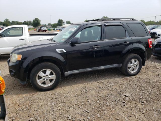 FORD ESCAPE XLT 2010 with VIN 1FMCU9DG7AKB79667 - Photo from auction