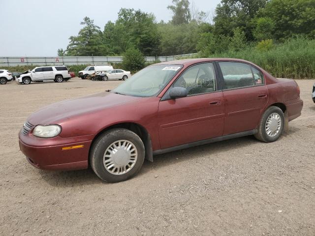 CHEVROLET MALIBU 2002 with VIN 1G1ND52J22M708848 - Photo from auction