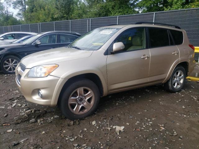 TOYOTA RAV4 LIMIT 2010 with VIN JTMDK4DVXAD016046 - Photo from auction