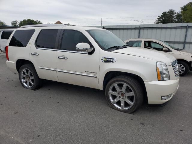 Photo 4 from auction – 2011 CADILLAC ESCALADE P with VIN 1GYS3FEJ9BR260488