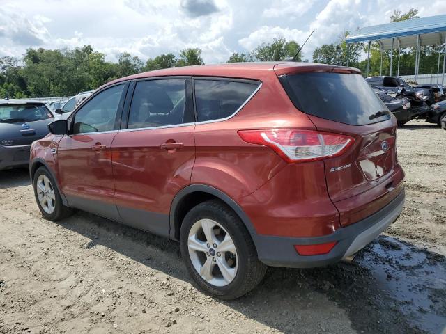 Фото 2 с аукциона – 2014 FORD ESCAPE SE с VIN 1FMCU0GX2EUC89883