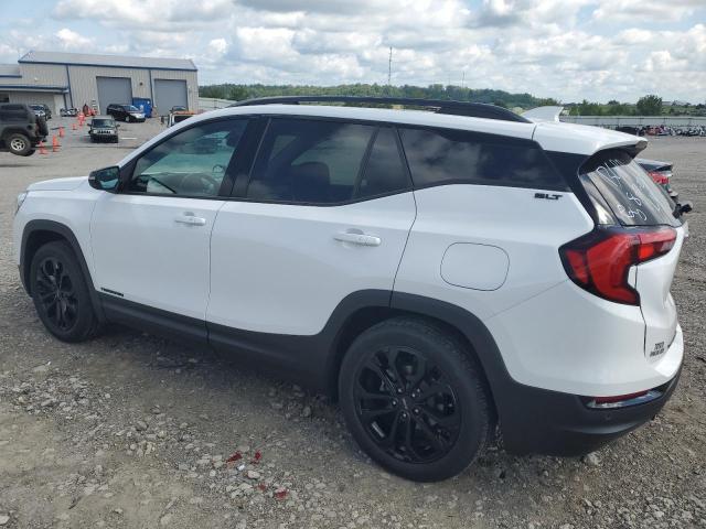 Photo 2 from auction – 2019 GMC TERRAIN SL with VIN 3GKALPEV3KL270682