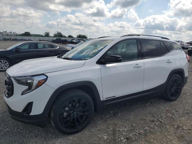 GMC TERRAIN SL 2019 with VIN 3GKALPEV3KL270682 - Photo from auction