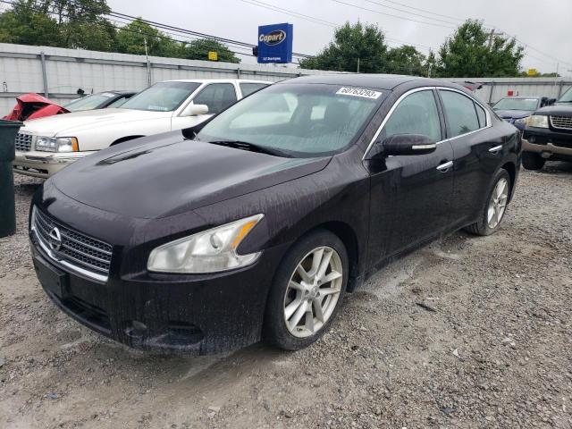 NISSAN MAXIMA 2010 with VIN 1N4AA5AP3AC828575 - Photo from auction