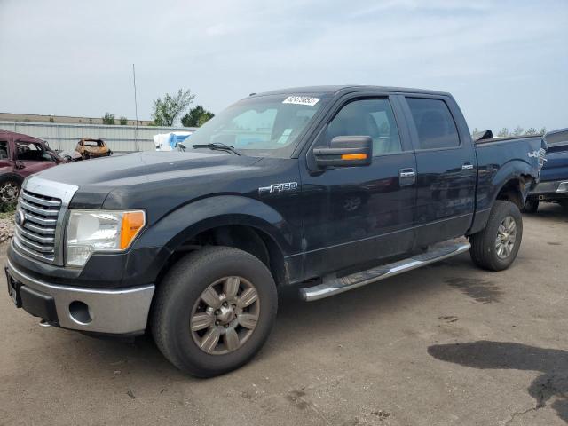 Photo 1 from auction – 2010 FORD F150 SUPER with VIN 1FTFW1EV5AFB17686