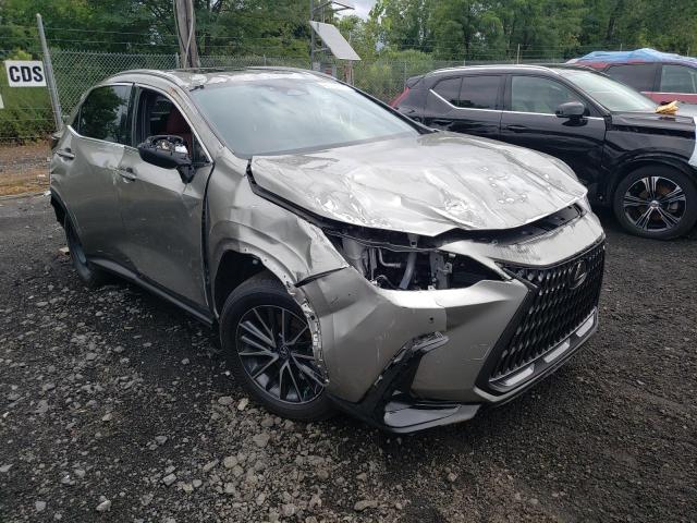 Photo 4 from auction – 2024 LEXUS NX 250 PRE with VIN 2T2GDCAZ1RC006633