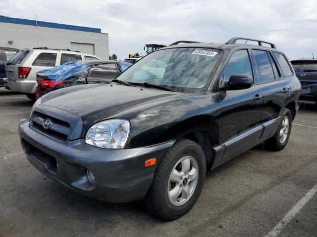 HYUNDAI SANTA FE 2006 with VIN KM8SC13E46U108941 - Photo from auction