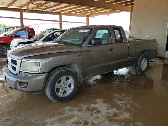 DODGE DAKOTA SXT 2010 with VIN 1D7RW3BP5AS223325 - Photo from auction