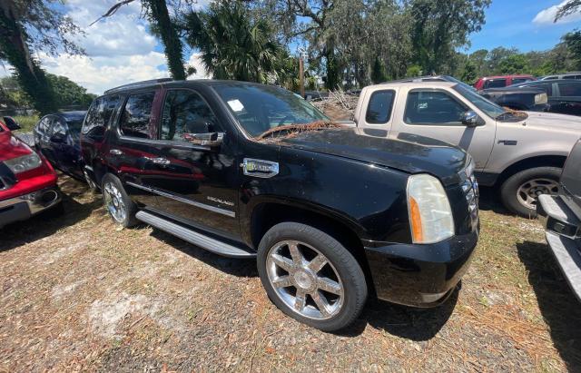 CADILLAC ESCALADE H 2010 with VIN 1GYUCEEJ9AR171747 - Photo from auction