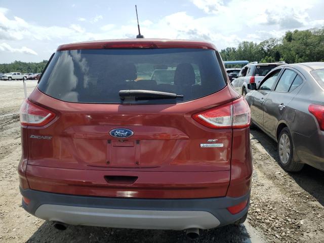 Photo 6 from auction – 2014 FORD ESCAPE SE with VIN 1FMCU0GX2EUC89883