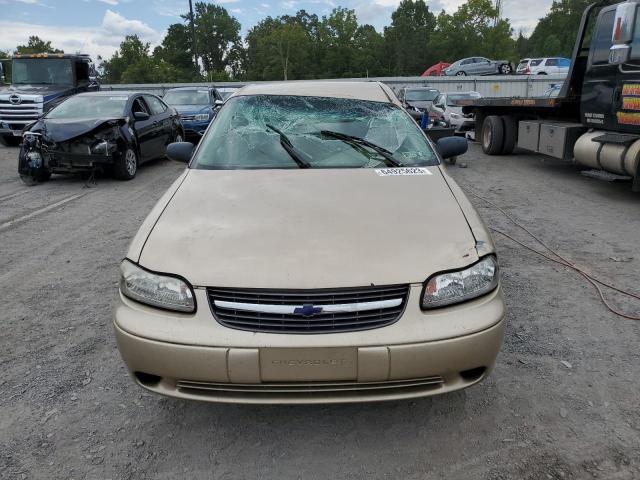 Photo 5 from auction – 2003 CHEVROLET MALIBU with VIN 1G1ND52J83M561906