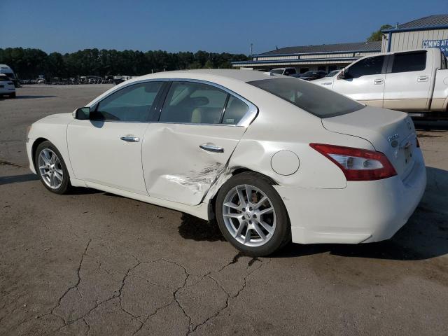 Photo 2 from auction – 2011 NISSAN MAXIMA S with VIN 1N4AA5AP5BC824299