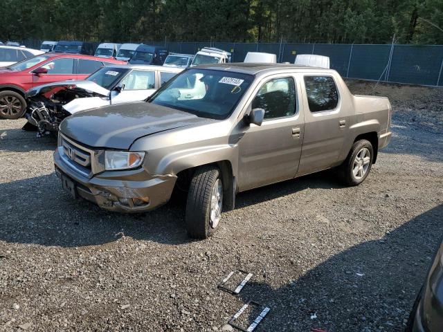HONDA RIDGELINE 2009 with VIN 5FPYK16529B102590 - Photo from auction