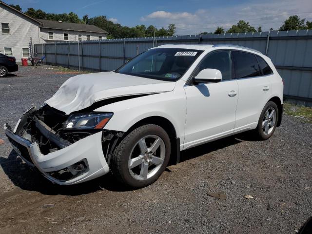 AUDI Q5 PREMIUM 2010 with VIN WA1LKAFP5AA108248 - Photo from auction