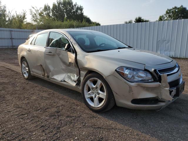 Photo 4 from auction – 2011 CHEVROLET MALIBU LS with VIN 1G1ZB5E16BF382236