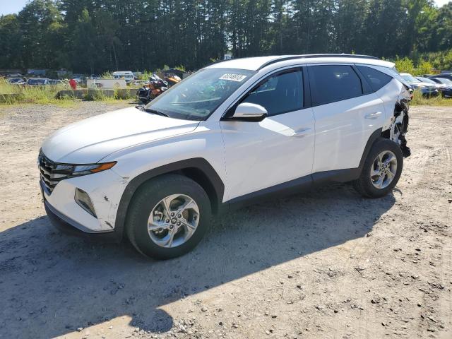 HYUNDAI TUCSON SEL 2023 with VIN 5NMJBCAE0PH201790 - Photo from auction
