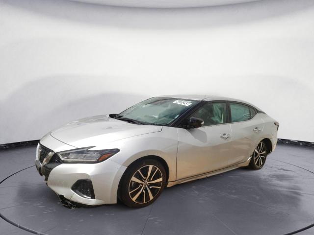 NISSAN MAXIMA SV 2022 with VIN 1N4AA6CV2NC502175 - Photo from auction