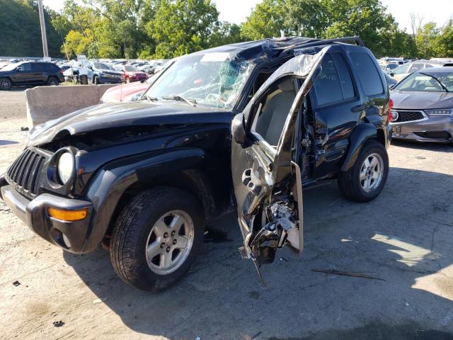 Photo 1 from auction – 2002 JEEP LIBERTY LI with VIN 1J4GL58KX2W245875