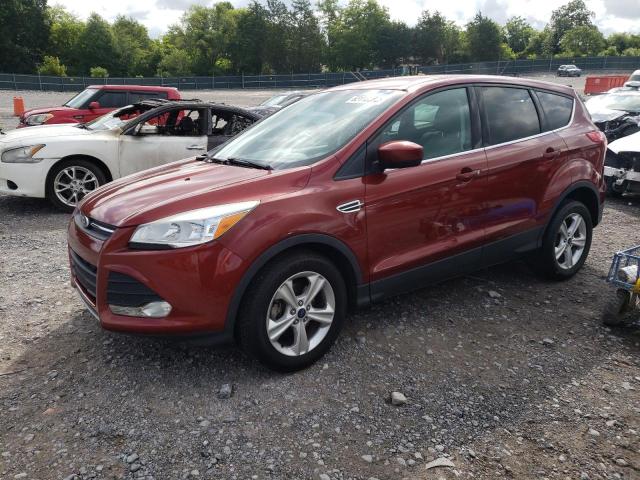 FORD ESCAPE SE 2014 with VIN 1FMCU0GX0EUC76890 - Photo from auction