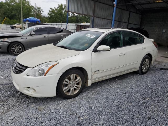 NISSAN ALTIMA HYB 2010 with VIN 1N4CL2APXAC185630 - Photo from auction