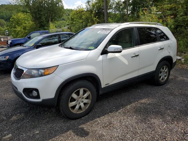 KIA SORENTO BA 2011 with VIN 5XYKTDA13BG036809 - Photo from auction