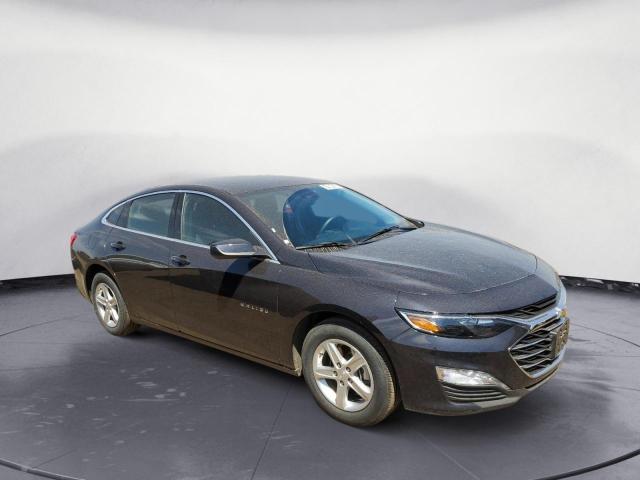 Photo 4 from auction – 2023 CHEVROLET MALIBU LT with VIN 1G1ZD5ST7PF188905