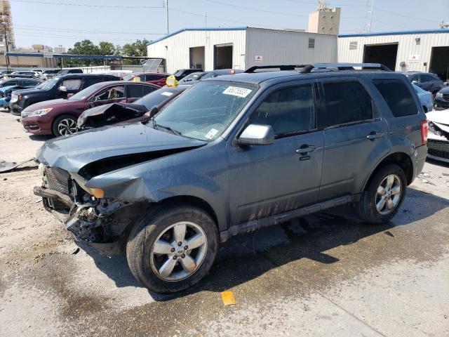 FORD ESCAPE LIM 2010 with VIN 1FMCU0E72AKA70172 - Photo from auction