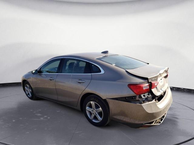 Photo 2 from auction – 2023 CHEVROLET MALIBU LT with VIN 1G1ZD5ST3PF176010