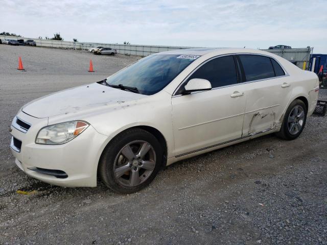 Photo 1 from auction – 2011 CHEVROLET MALIBU 1LT with VIN 1G1ZC5E12BF324539