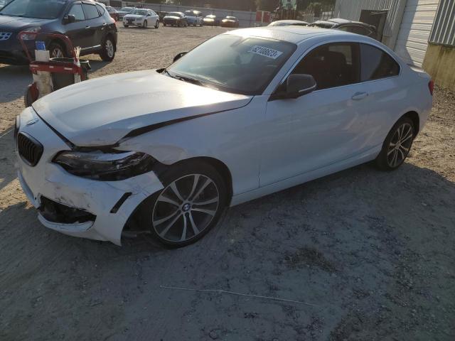 BMW 228 I SULE 2016 with VIN WBA1F9C59GV544618 - Photo from auction