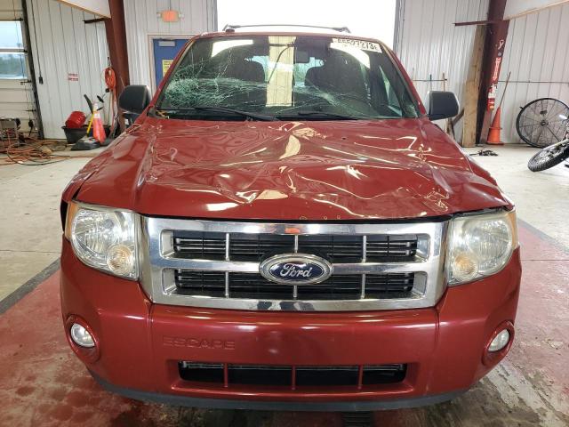 Photo 5 from auction – 2010 FORD ESCAPE XLT with VIN 1FMCU0D7XAKB08054