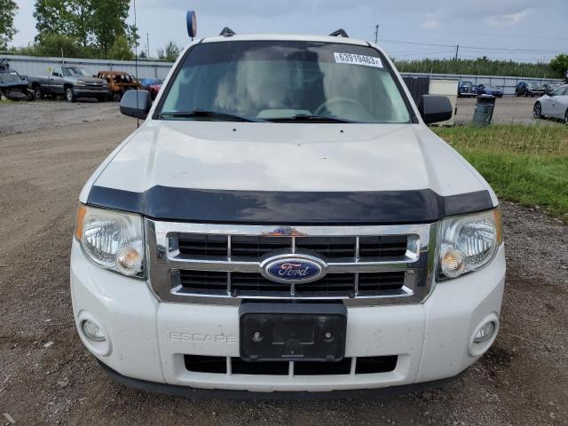 Photo 5 from auction – 2010 FORD ESCAPE XLT with VIN 1FMCU0D77AKA95702