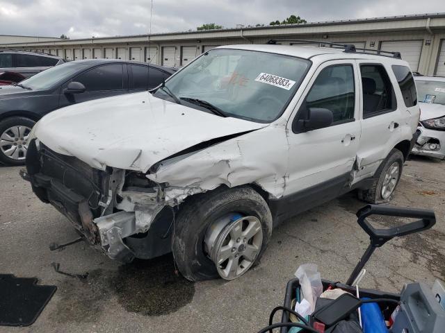 FORD ESCAPE XLT 2006 with VIN 1FMYU93166KB46332 - Photo from auction