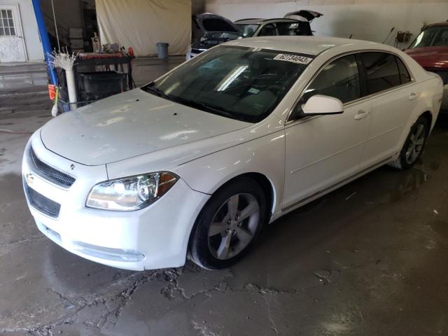 CHEVROLET MALIBU 1LT 2011 with VIN 1G1ZC5E1XBF111239 - Photo from auction