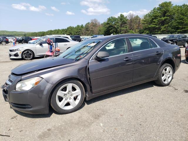 CHEVROLET MALIBU 2010 with VIN 1G1ZB5EB3A4134531 - Photo from auction