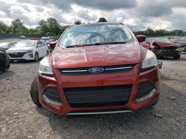Photo 5 from auction – 2014 FORD ESCAPE SE with VIN 1FMCU0GX0EUC76890